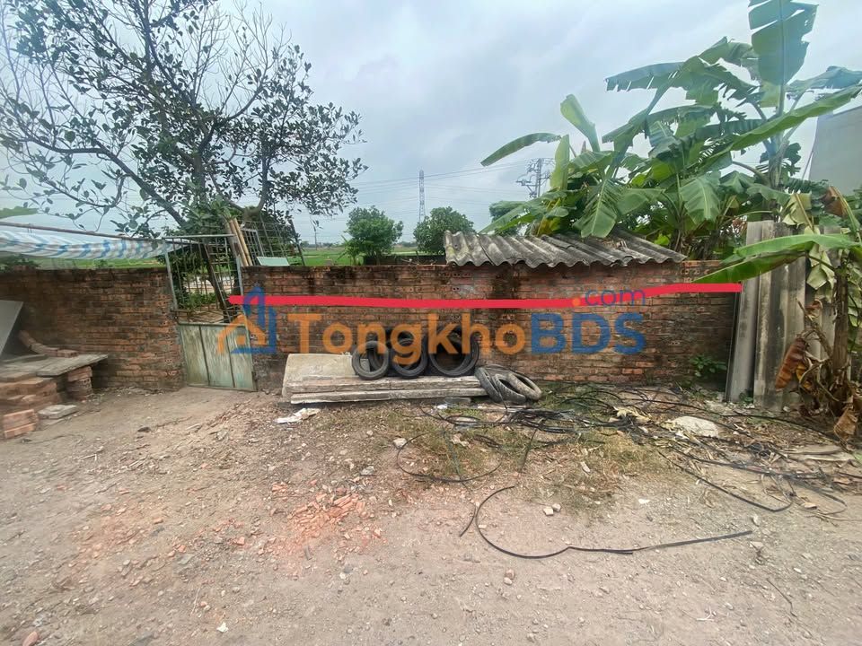 Đất nền Đường 12 Ý Yên 118m² 2 tỷ - Sổ đỏ chính chủ