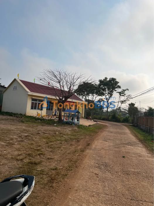 Đất nền Đắk Mil 232m² 800 triệu - Đường to ô tô