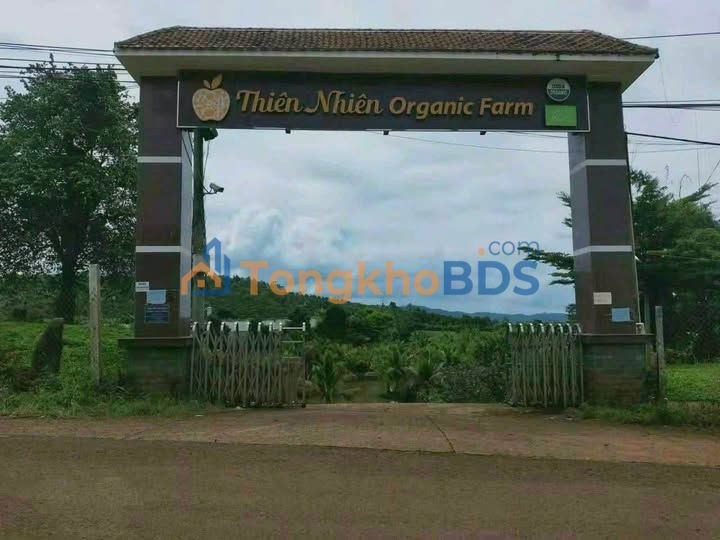 Đất Vườn Đắk Nông 3600m² Mặt Tiền QL 28 - Tặng Hồ Riêng