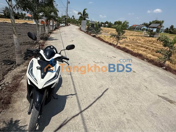 Đất nền Phước Đông Cần Đước 130m² - Sổ đỏ F0, Giá 650 triệu