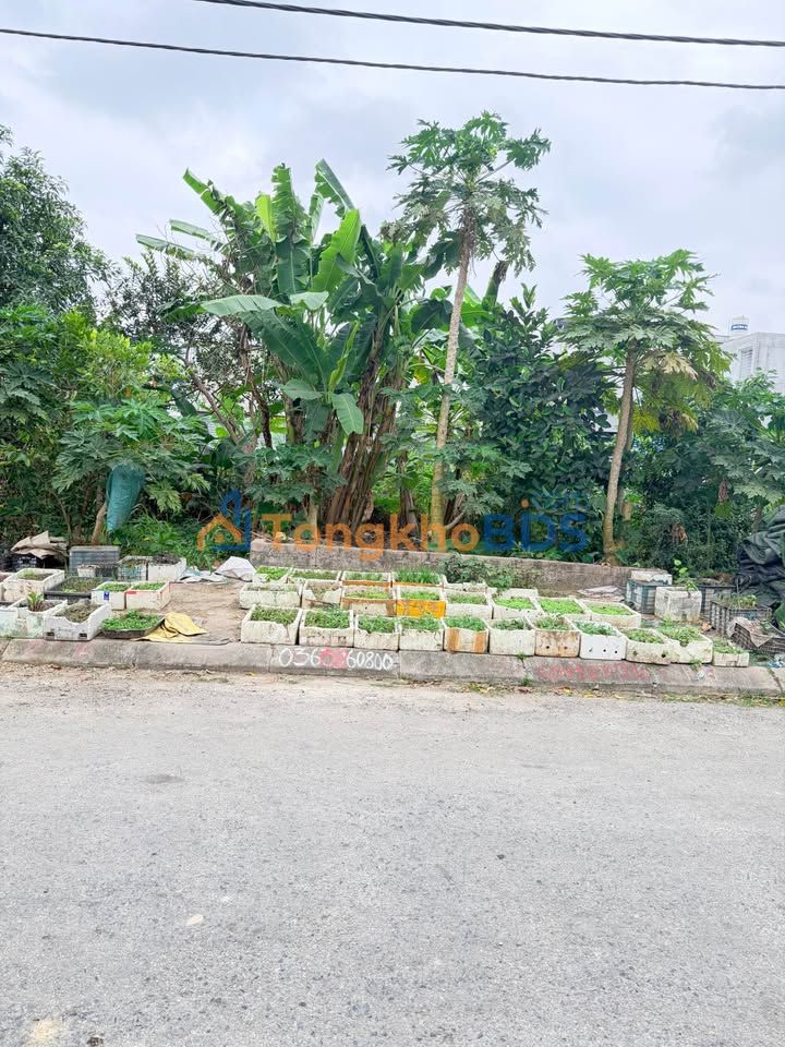 Bán đất Đồng Thái, Hải Phòng - 91.5m² - Ngõ ô tô tránh, gần chợ Quán Toan