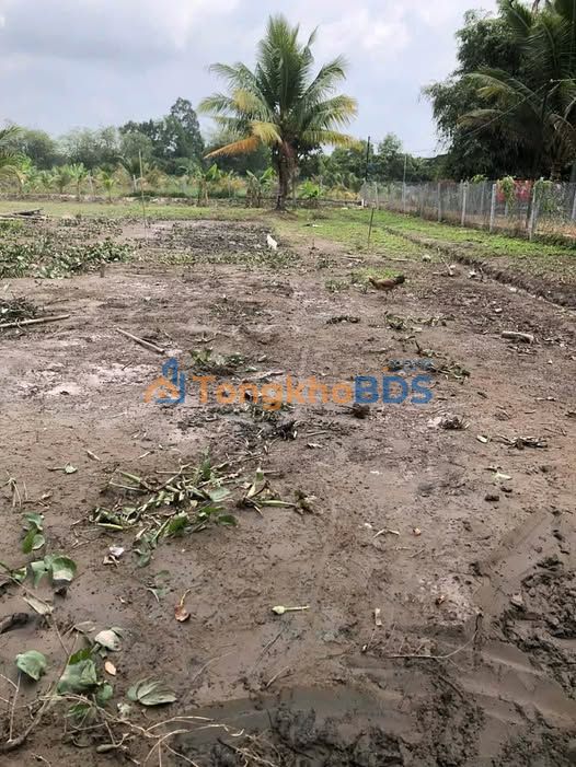 Bán Đất Nền Tân Phú Trung 80m² - Giá 2xx Triệu, Đường Ba Gác