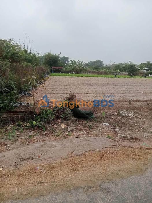 Bán Đất Nền Mặt Tiền Đường 13 Bàu Ếch, Hòa Thành, Tây Ninh - 240m² Giá Tốt