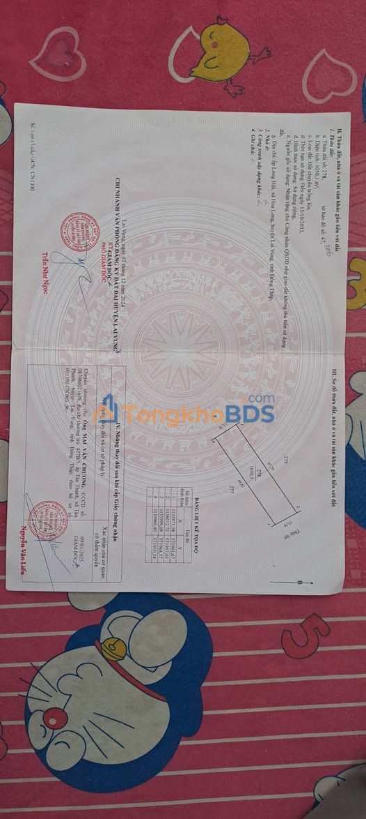 Đất Nền 1050m² Đường Kinh Tư Lùng, Sa Đéc - Vị Trí Đẹp, Giá Tốt