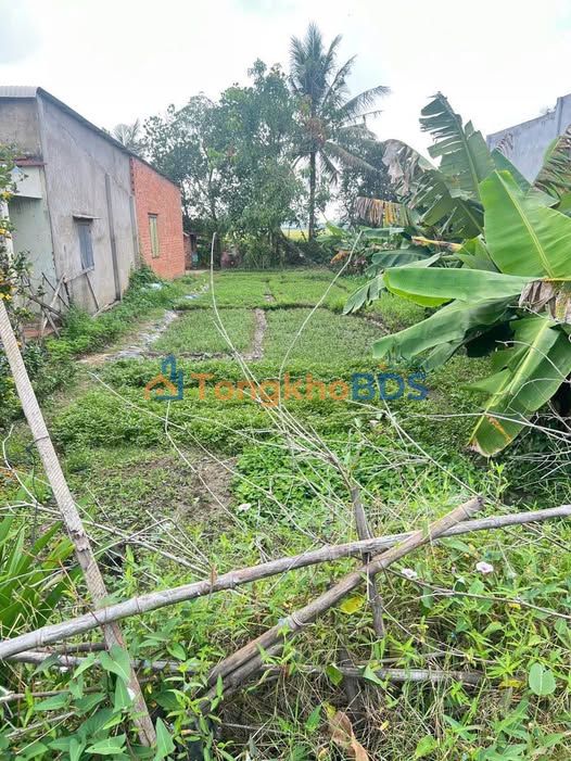 Đất Nền Phước Bình, Trảng Bàng 200m² - Sổ Hồng Chính Chủ Giá 600 Triệu