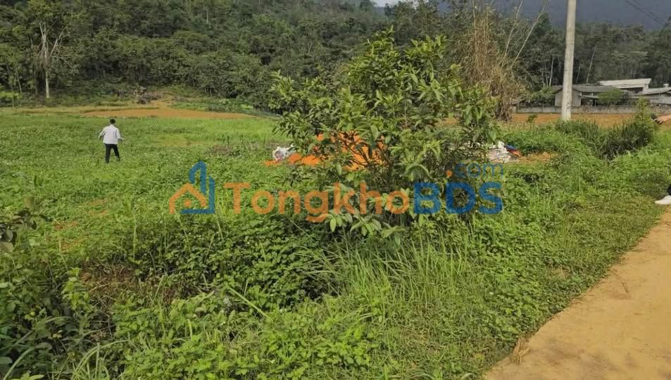 Đất Nền Lũng Pục, Vị Xuyên, Hà Giang - 560m² Mặt Tiền Rộng, Giá Chỉ 260 Triệu