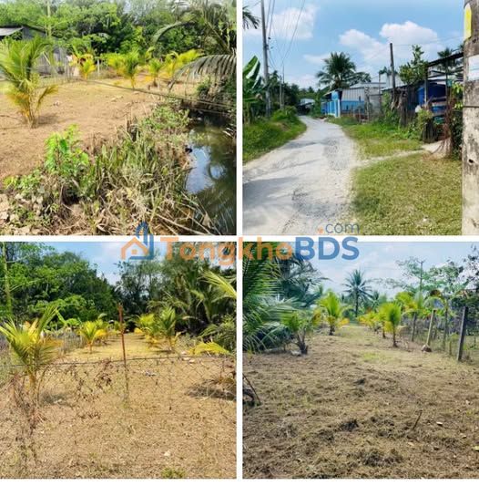 Đất nền Bình Đại, Bến Tre 280m² - Sổ hồng sẵn, giá đầu tư chỉ 3.2 tỷ