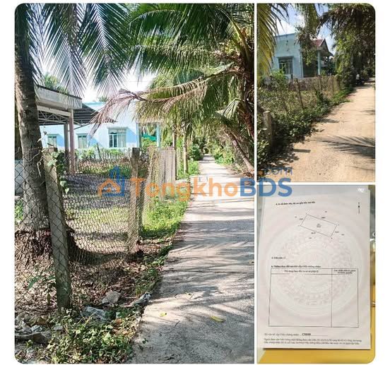 Bán Đất 338m² Sổ Hồng Xã Quới Sơn, Bến Tre - Giá 820 Triệu