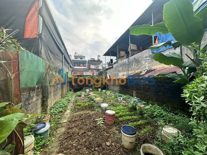 Bán Đất Tốt Lý Tự Trọng, Hà Giang - 123m² Full Thổ Cư, Giá 2 Tỷ XXX