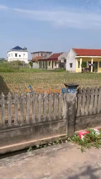 Đất nền Nam Điền Nghĩa Hưng 230m² - Đường to ô tô