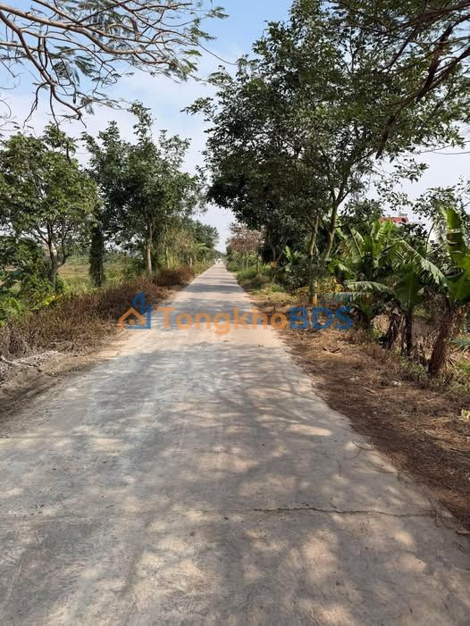 Đất nền Nam Trực 100m² 9xx triệu - Sổ đỏ chính chủ