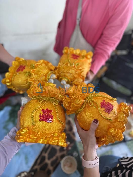 Đất Lô Góc 81m² Mặt Tiền Đường Xe Hơi - Phan Thiết 1.8 Tỷ