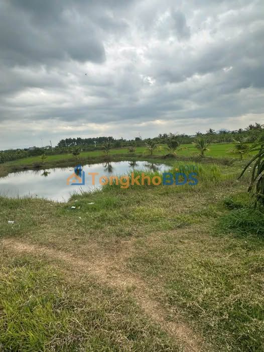 Bán Đất Vườn 4770m² Hàm Liêm, Bình Thuận - Sổ Đỏ Riêng, Giá Đầu Tư 1.4 Tỷ