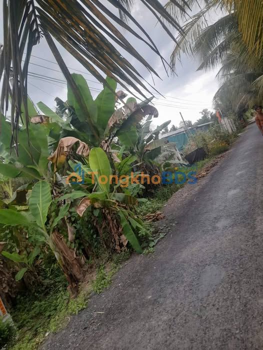 Đất nền An Phú Thuận 560m² 1,1 tỷ - Giá tốt hiếm có