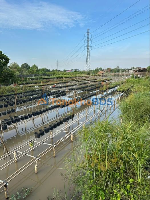 Đất nền Phạm Hữu Lầu Sa Đéc 6000m² giá đầu tư tốt