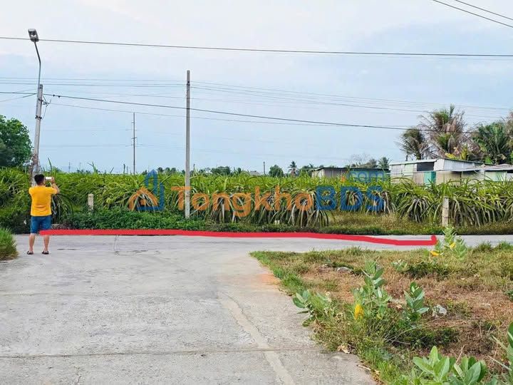 Đất Nền 1000m² Tiến Lợi, Phan Thiết - Sổ Hồng Thổ Cư, Giá 1.85 Tỷ