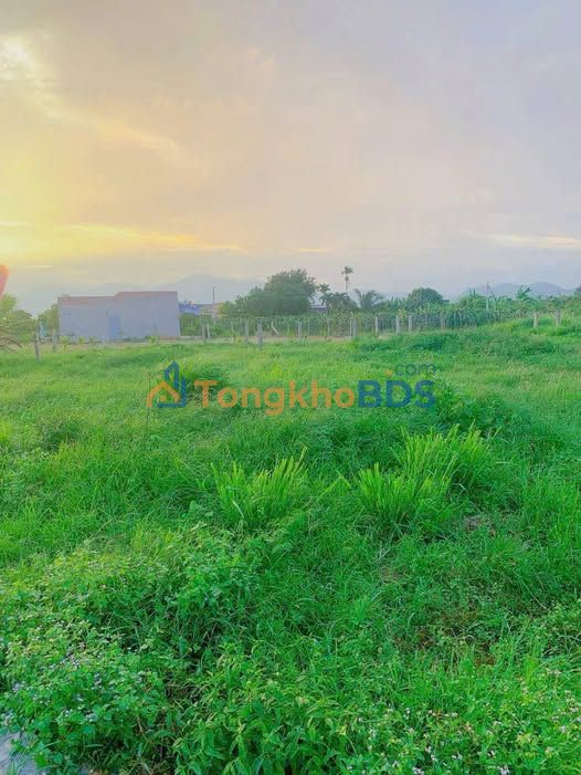 Đất Hàm Liêm, Bình Thuận 773m² - Sổ Hồng Riêng, Giá Chỉ 170 Triệu