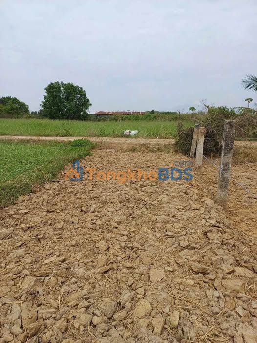 Đất Nền Ma Lâm 250m² Sổ Riêng - Giá 149 Triệu Đầu Tư Lâu Dài