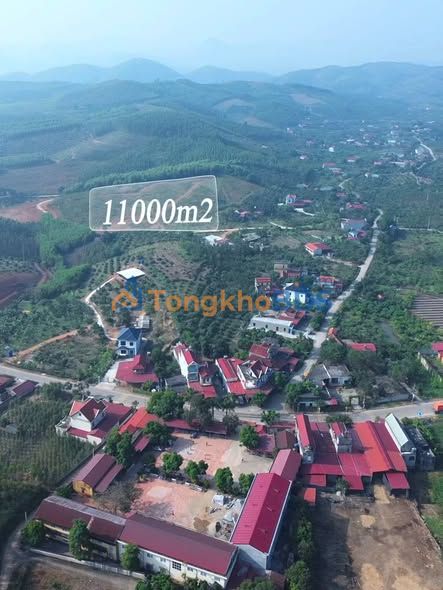 Bán Đất Vườn 11000m² Xã Nam Dương, Bắc Giang - Sổ Đỏ Giá 3 Tỷ