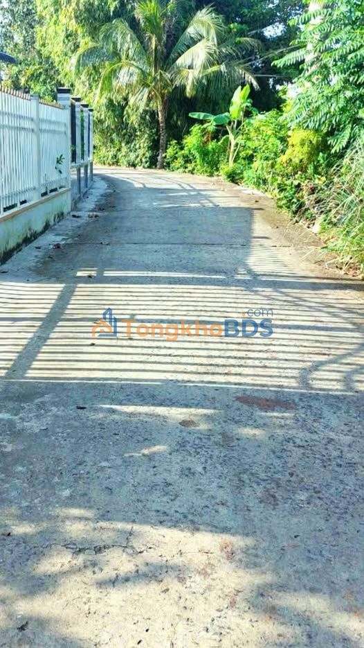 Bán Đất Vườn Tân Dương, Lai Vung - 248m² Sổ Hồng Riêng, Giá 450 Triệu