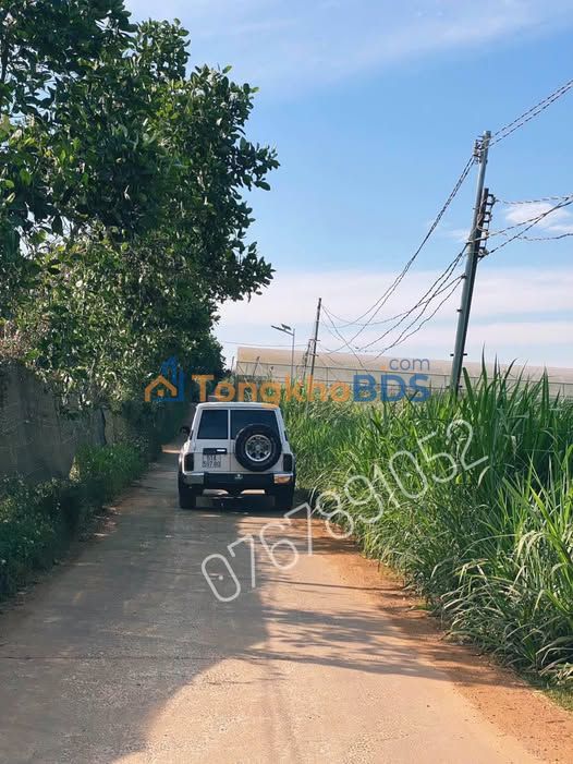 Bán Gấp Vườn 1500m² Đạ Ròn, Đơn Dương - Sổ Đỏ 2 Tỷ