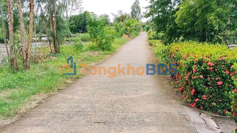 Bán Đất Vườn 10.756m² Tại Thới Bình, Cà Mau - Giá 1.2 Tỷ