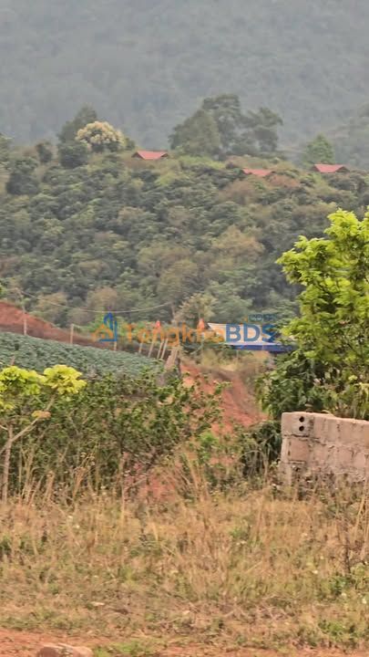 Đất nền Phường Mộc Lỵ 1399m2 400 triệu - Sổ đỏ chính chủ