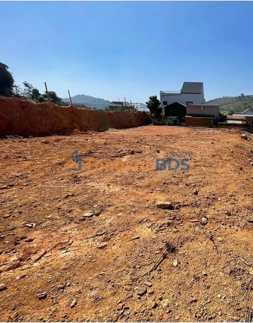 Đất Vàng Đà Lạt - 115m² Phường 7, Sổ Xây Dựng Giá 890 Triệu