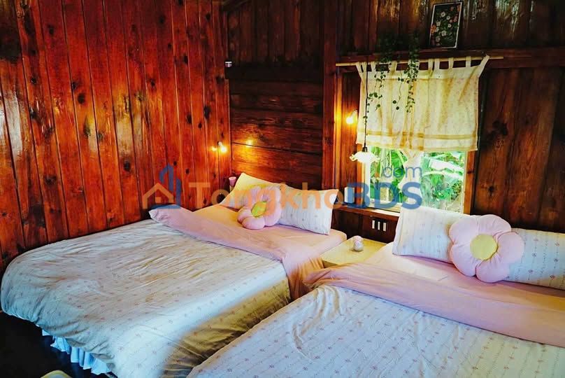 Cho thuê nhà 4PN Đào Duy Từ, Đà Lạt - 7 Triệu/tháng, Kinh doanh Homestay