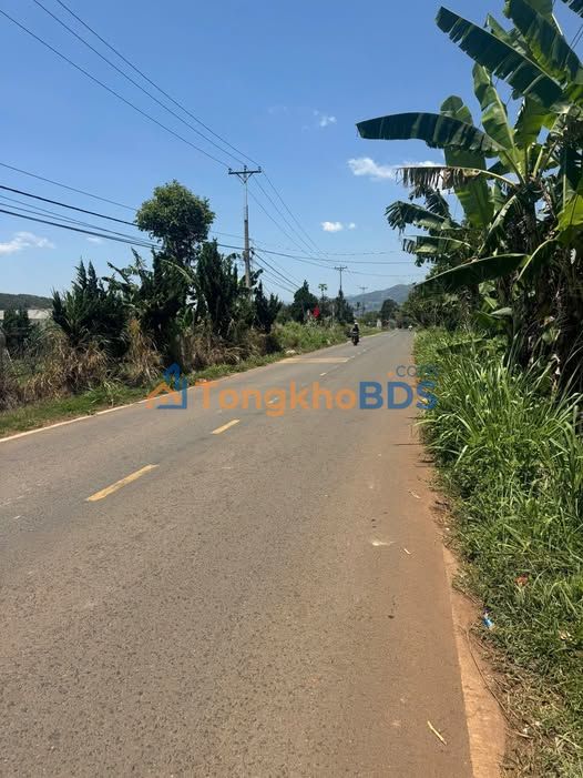 Đất nền Nam Hà Đà Lạt 756m² giá 3.6 tỷ - Sổ đỏ chính chủ