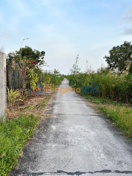 Bán Nhanh Đất Nền Ấp Bào Sơn, Cà Mau - 545m² View Kênh, Đồng Lúa Giá 1.09 Tỷ