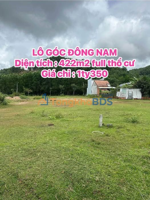 Đất Nền Lô Góc Tam Đại - 422m² Nở Hậu, Giá 1.35 Tỷ