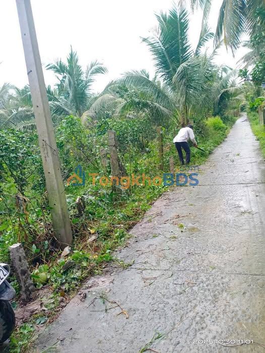 Đất Nền Vĩnh Long - Sổ Đỏ Thổ Cư 100m² - Giá Chỉ Từ 170 Triệu