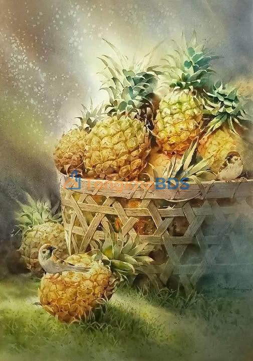 Đất nền Phường Trung Sơn, Tam Điệp - 105m² Sổ hồng sẵn sàng giao dịch