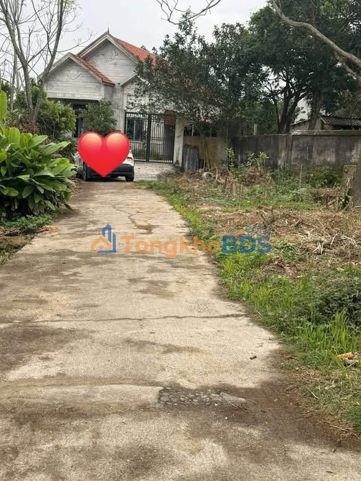 Đất nền An Nội 133m² - Giá chỉ hơn 600 triệu, gần KCN, đường ô tô