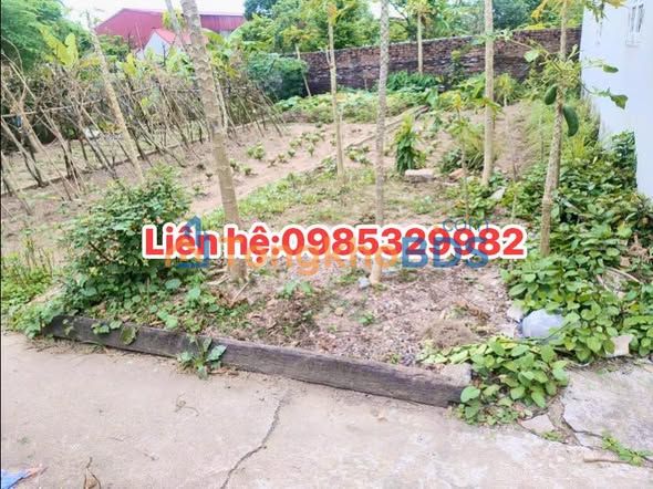 Đất nền Hưng Yên 56m² - Trung tâm, Giá F0 chỉ 1 tỷ