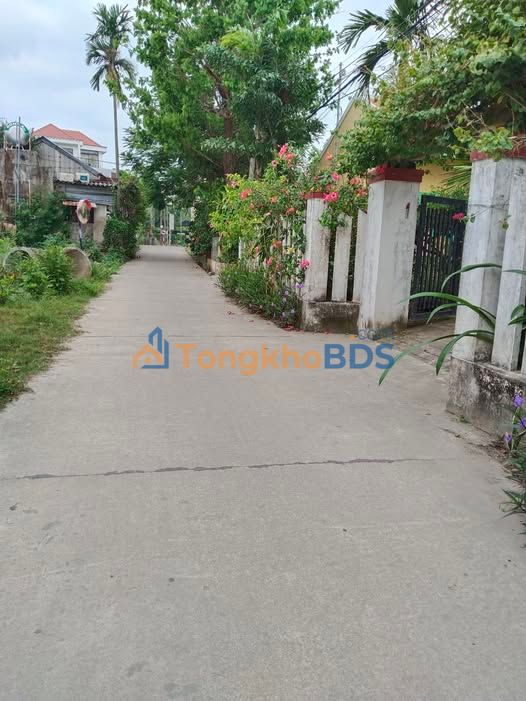 Đất nền Cẩm Thanh Hội An 100m² - Sổ đỏ vuông vắn, chỉ 2.8 tỷ