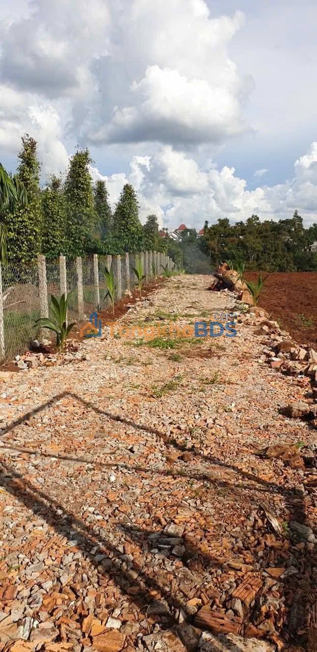 Đất CLN Thôn 8 Hòa Thuận 1440m² 3 tỷ - Đường to ô tô