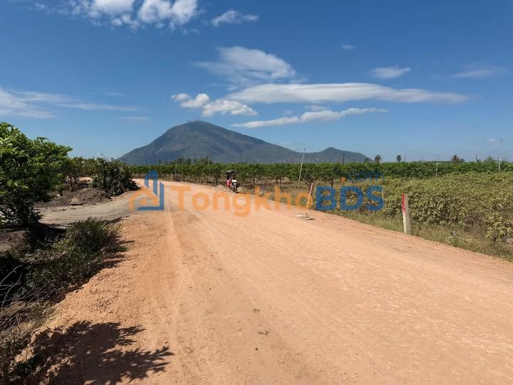 Đất nền Suối Đá Dương Minh Châu 250m² 2xx triệu - Ô tô tránh