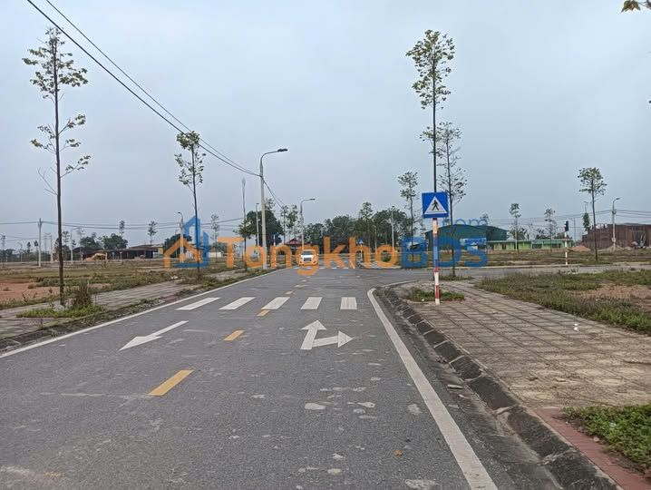 Bán Đất Đẹp 100m² Trung Tâm Lâm Thao, Phú Thọ - Sổ Đỏ Sẵn Sàng