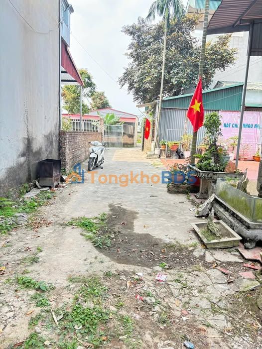 Đất nền Phường Thọ Xương Bắc Giang 350m² - Đường to ô tô