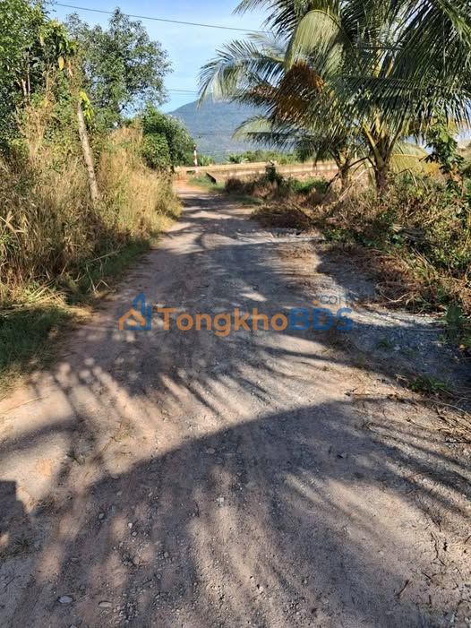 Đất nền Tân Hòa Tây Ninh 72m² 210 triệu - Sổ đỏ chính chủ