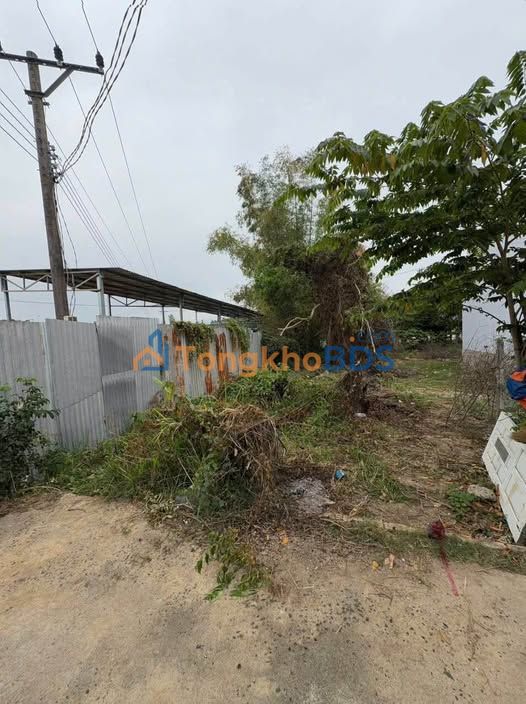 Đất nền Đông Anh 80m² full thổ cư, gần Cầu Gỗ - Giá chỉ 1.35 tỷ