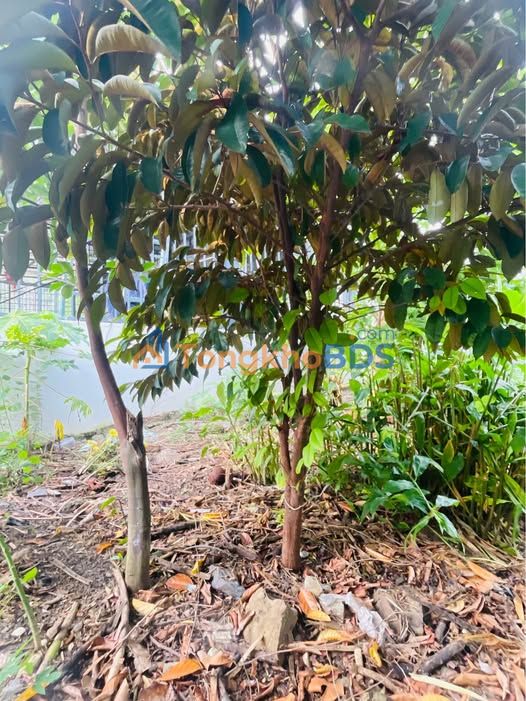 Đất Vườn 610m² Vĩnh Phương, Nha Trang - Sổ Hồng, Giá 3.6 Tỷ, Gần Biển