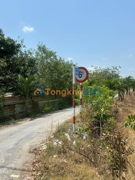 Đất vườn Bình Chánh 1000m² 3.9 tỷ - Sổ đỏ chính chủ