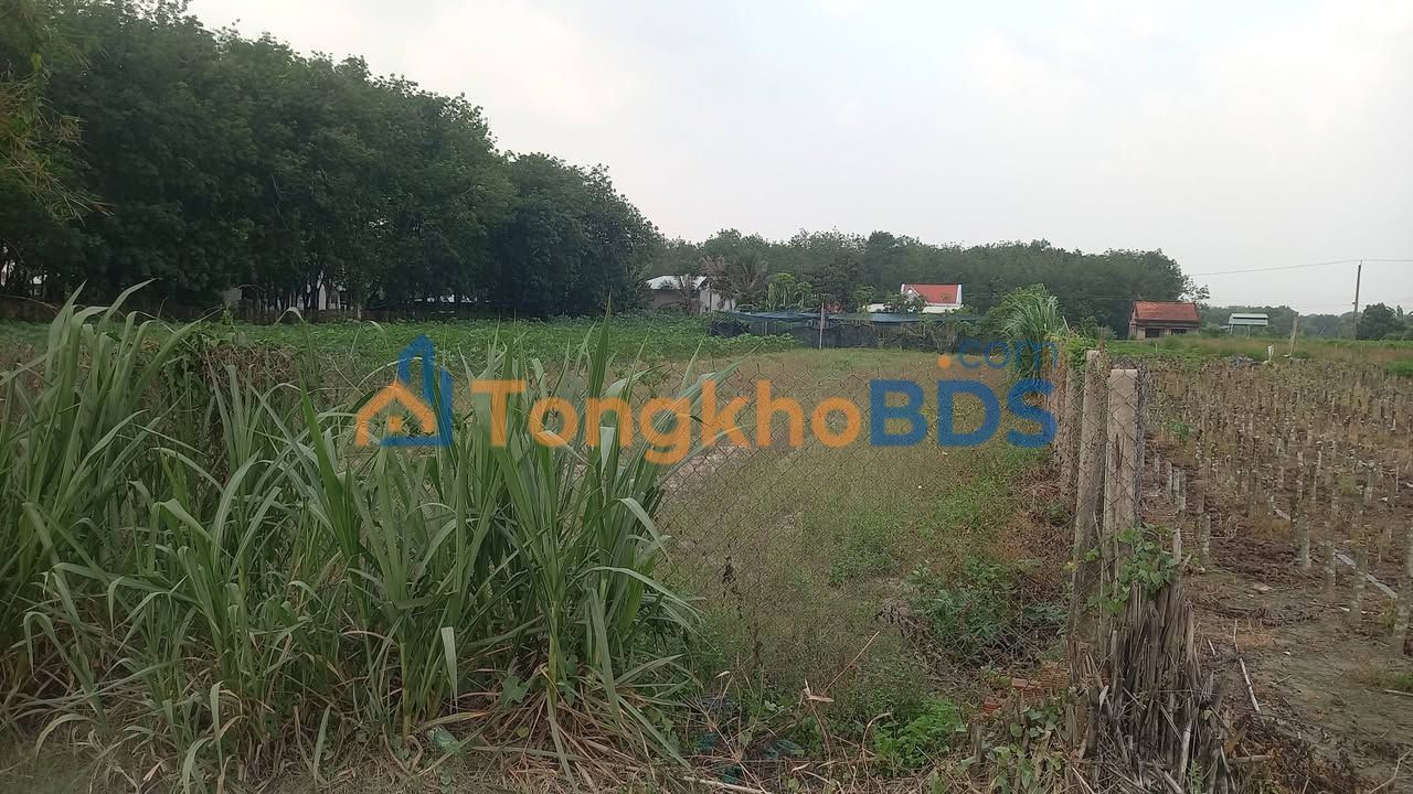 Đất Nền An Tịnh 720m² - Giá Tốt 1.25 Tỷ, Sổ Hồng Bao Giấy Tờ