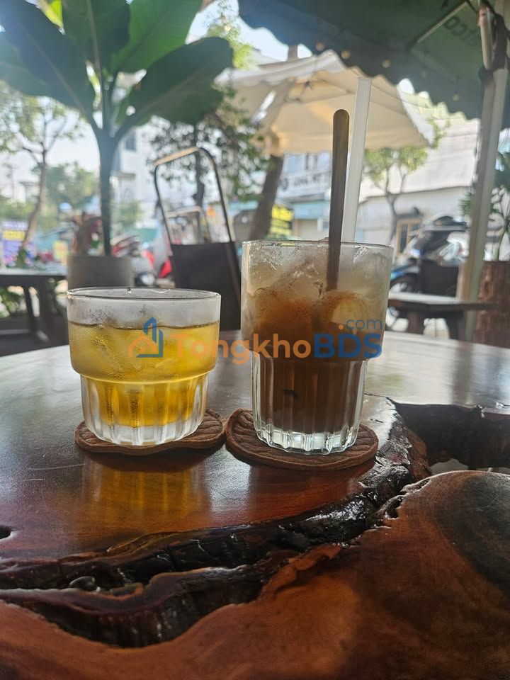 Bán Đất Tân Thạnh Đông Củ Chi 1729m² - Đường Xe Tải, Giá Tốt