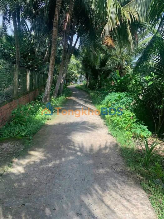 Đất Tân Long Hội Mang Thít 159m² 240tr - Tiềm năng tăng giá