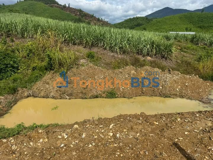 Đất Vườn Khánh Vĩnh 511m² - Sổ Đỏ Sẵn Sàng, Bao Quanh Trụ, Vườn Cây Ăn Trái