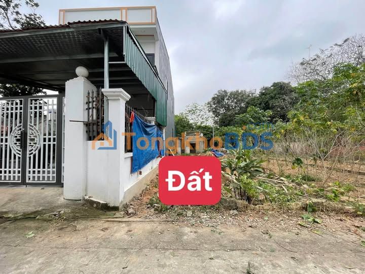 Đất nền Vĩnh Tường 140m² - Giáp KCN Tam Dương, Sẵn Sàng Đầu Tư